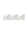BEAUTY OF JOSEON - Dynasty Cream - 50ml (3pcs) Set